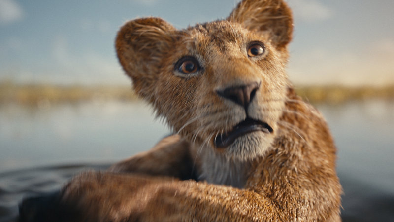 Mufasa 5.jpg Mufasa 5.jpg